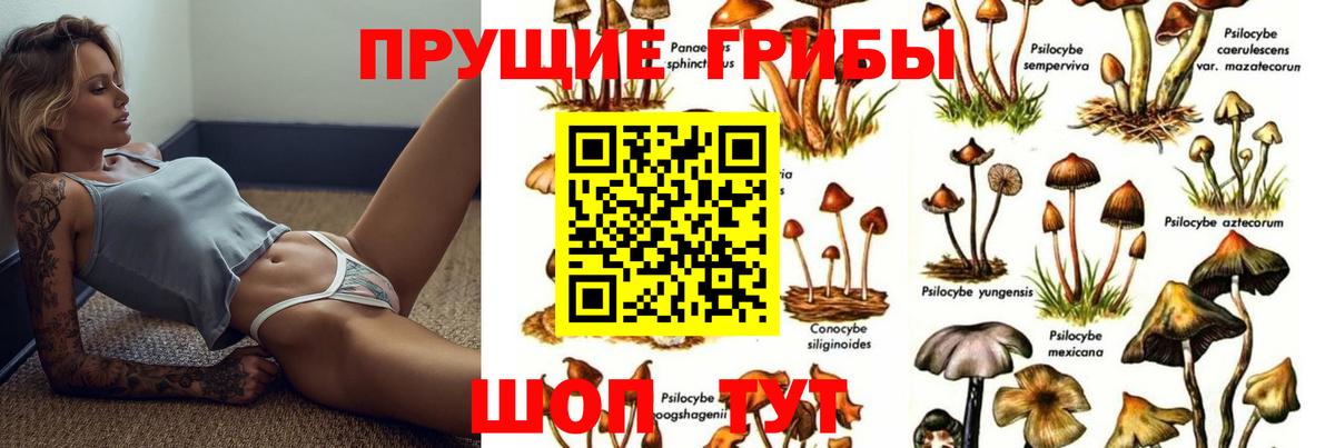 Галлюциногенные грибы Cubensis  Галлюциногенные грибы прущие грибы  сколько стоит  Вход с VPN  Лабинск 